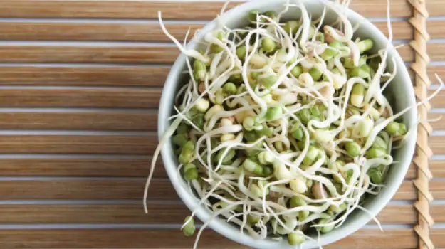Why did our grandma always feed us sprouts?